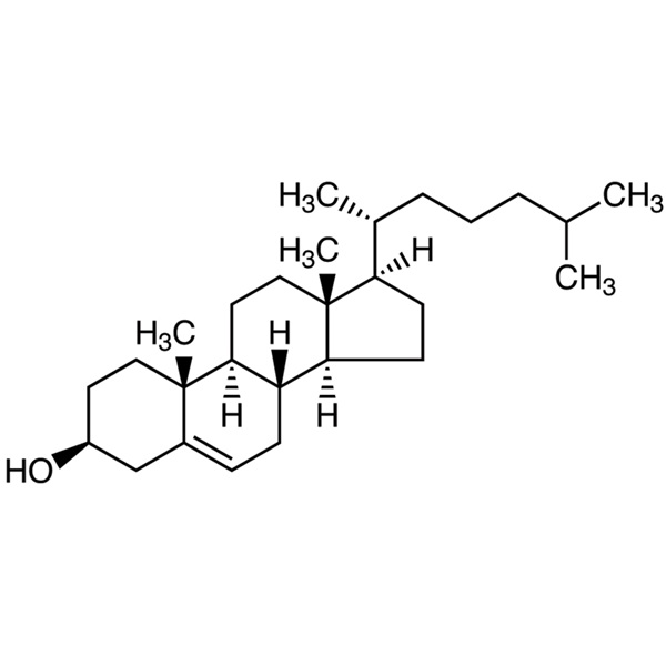 Cholesterol CAS 57-88-5 High Quality
