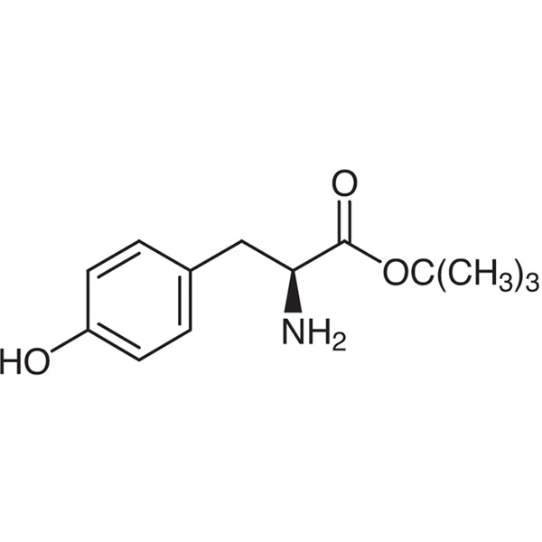 H-Tyr-OtBu CAS 16874-12-7 L-Tyrosine tert-Butyl Ester Purity >99.0% (HPLC) Factory